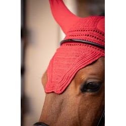 Bonnet Prems PADDOCK