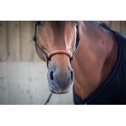 Chemise Séchante - PADDOCK