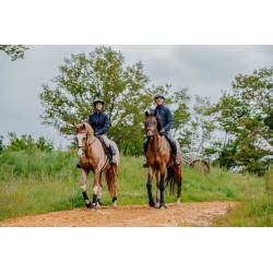 Blouson PRO SERIES - Turin