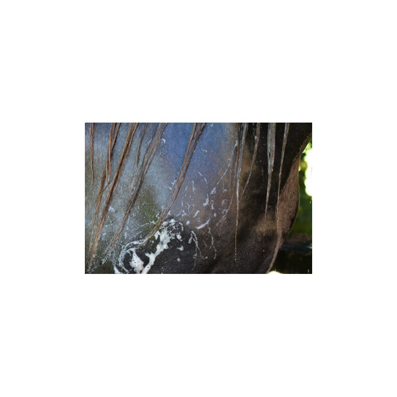 Easy Shine Grey RAVENE