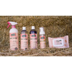 Easy Shine Grey RAVENE