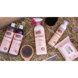 Easy Shine Grey RAVENE