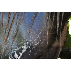 Easy Shine Grey RAVENE