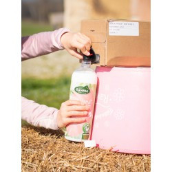 Easy Shine RAVENE - Démêlant Lustrant