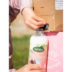 Easy Shine RAVENE - Démêlant Lustrant