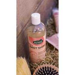 Easy Shine Shampoo RAVENE