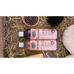 Easy Shine Shampoo RAVENE