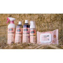 Easy Shine Shampoo RAVENE