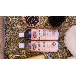 Easy Shine Shampoo RAVENE