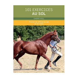 101 exercices au sol