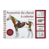 Anatomie du cheval à colorier
