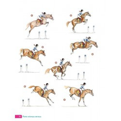 Cahier d'exercices VIGOT - Réussir ses galops 5 à 7