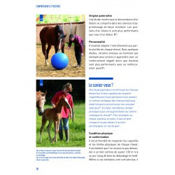 Comportements et postures