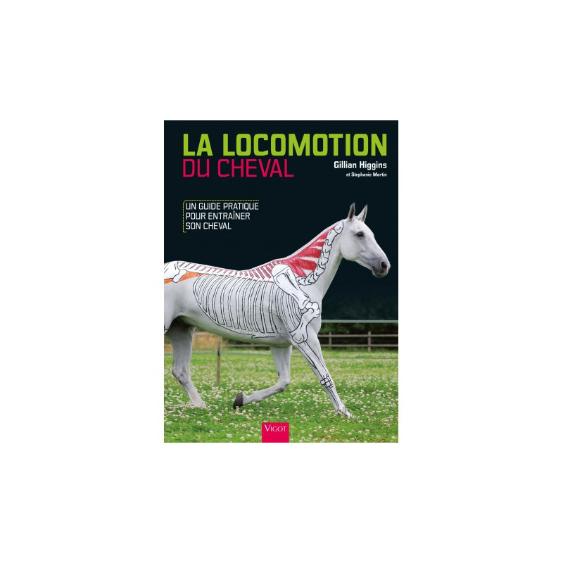 La Locomotion du Cheval