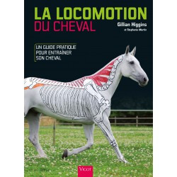 La Locomotion du Cheval