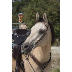 Bridon WESTRIDE by Franck Perret - 1 oreille