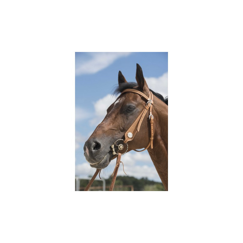 Bridon WESTRIDE by Franck Perret - Aurora