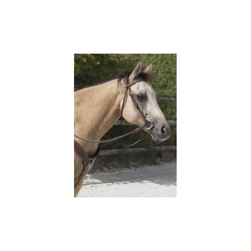 Bridon WESTRIDE by Franck Perret - Colorado