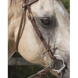 Bridon WESTRIDE by Franck Perret - Colorado