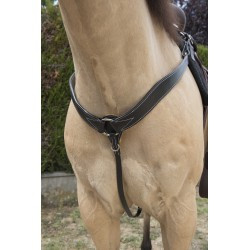 Collier de chasse western WESTRIDE surpiqué