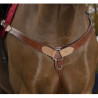 Collier de chasse WESTRIDE - Two Tone