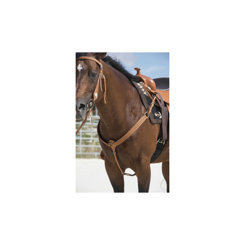 Collier de chasse WESTRIDE by Franck Perret - Aurora