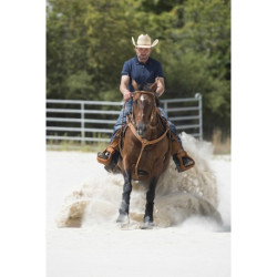 Collier de chasse WESTRIDE by Franck Perret - Aurora