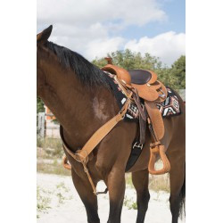 Collier de chasse WESTRIDE by Franck Perret - Billy