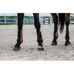 Guêtres EQUITHÈME - Tara