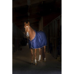 Chemise EQUITHÈME "Microfleece" standard