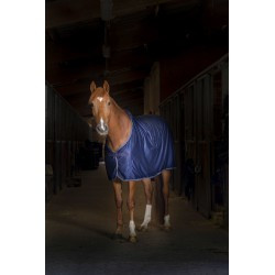 Chemise EQUITHÈME "Microfleece" standard