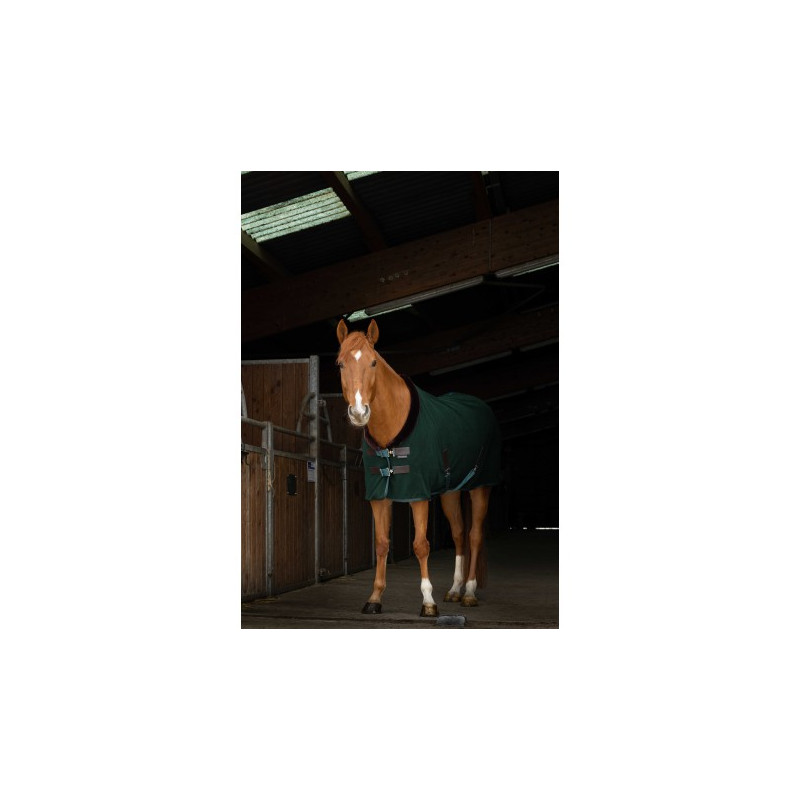 Chemise polaire EQUITHÈME -Teddy-