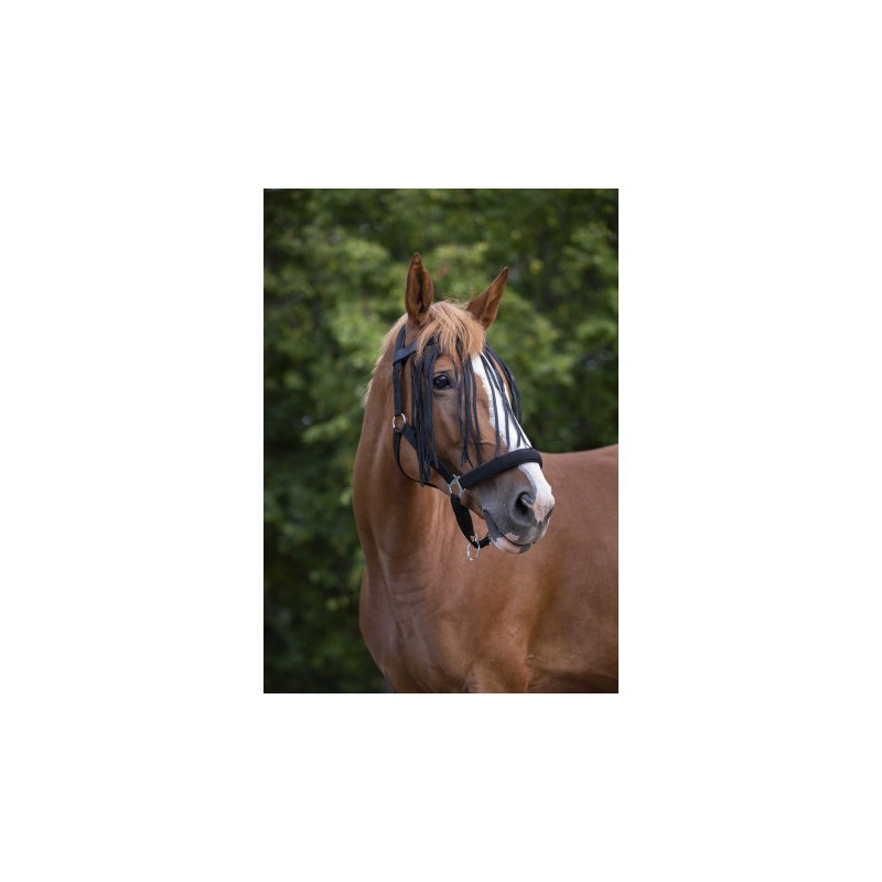 Frontal chasse-mouches NORTON