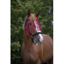 Frontal chasse-mouches NORTON