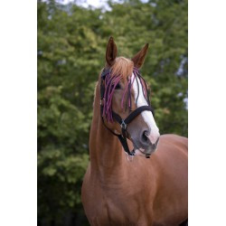 Frontal chasse-mouches NORTON