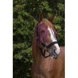 Frontal chasse-mouches NORTON