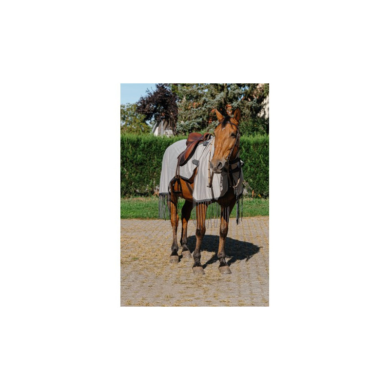 Chemise de travail RIDING WORLD anti-mouches