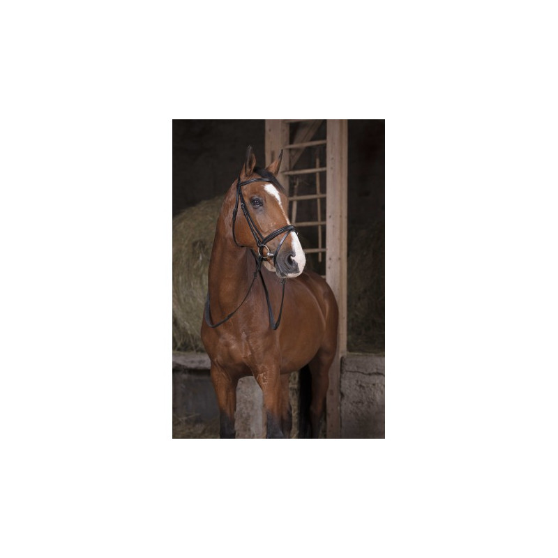 Rênes caoutchouc NORTON PRO