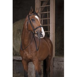 Rênes caoutchouc NORTON PRO