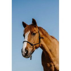 Licol éthologique nylon NORTON - Diams