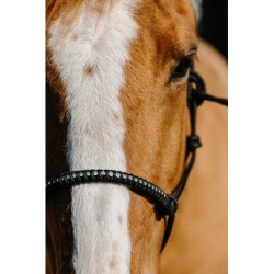 Licol éthologique nylon NORTON - Diams