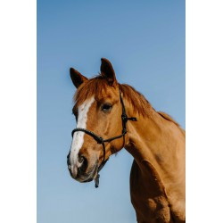 Licol éthologique nylon NORTON - Diams