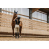 Legging EQUITHÈME - Acacia