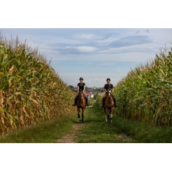 T-shirt PRO SERIES - Vibration