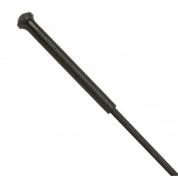 Fouet d'attelage et d'entraînement WHIP & GO