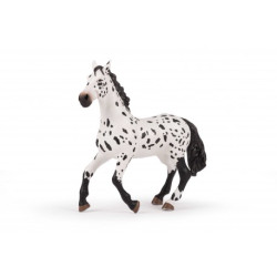 Grand cheval Appaloosa PAPO