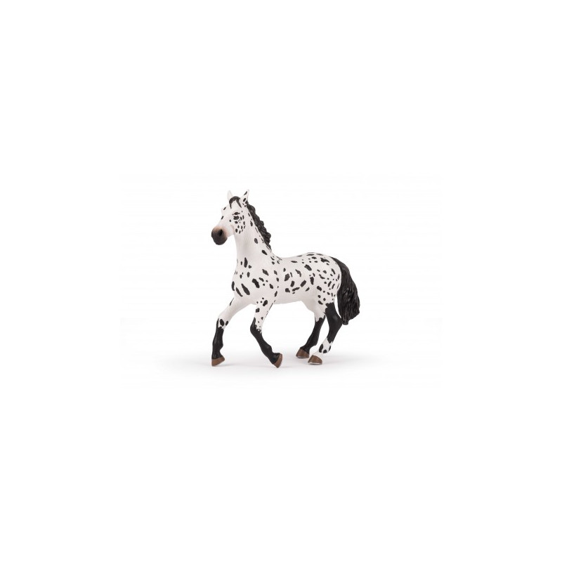 Grand cheval Appaloosa PAPO