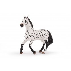 Grand cheval Appaloosa PAPO