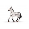 Grand cheval Appaloosa PAPO