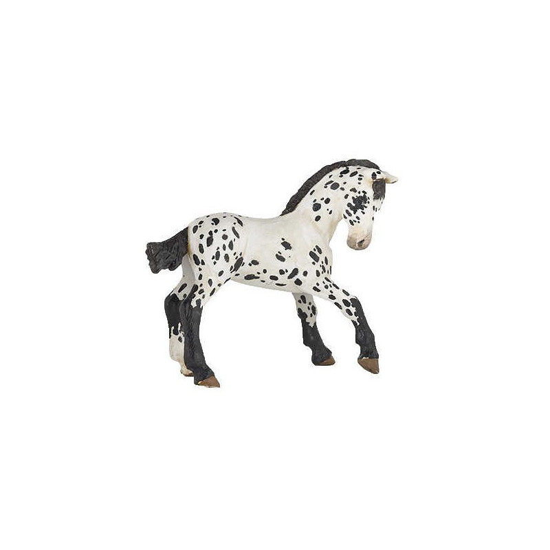 Poulain Appaloosa noir PAPO